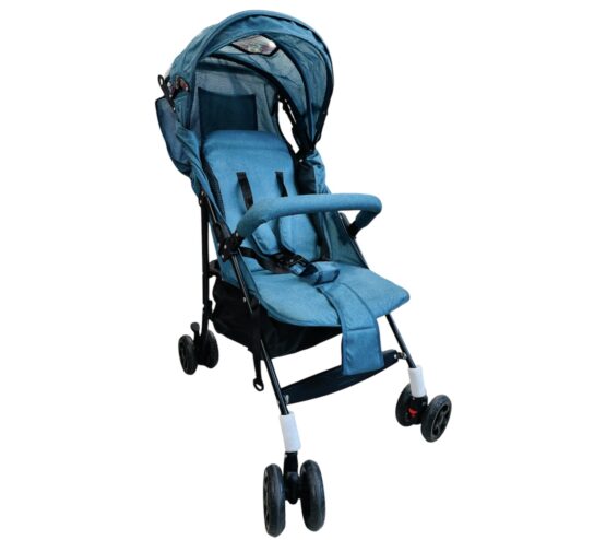 Baby Push Chair Sea Green Stroller